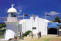whale museum